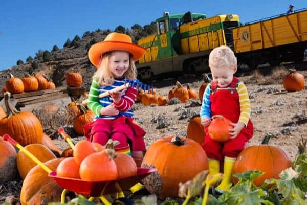 kids in pumpkin patch